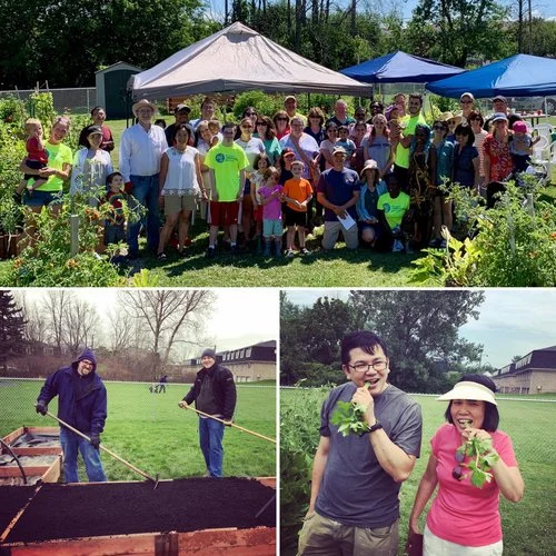 North Forest: Our newest garden site