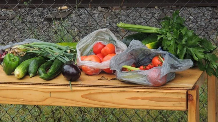 Harvests in Abundance