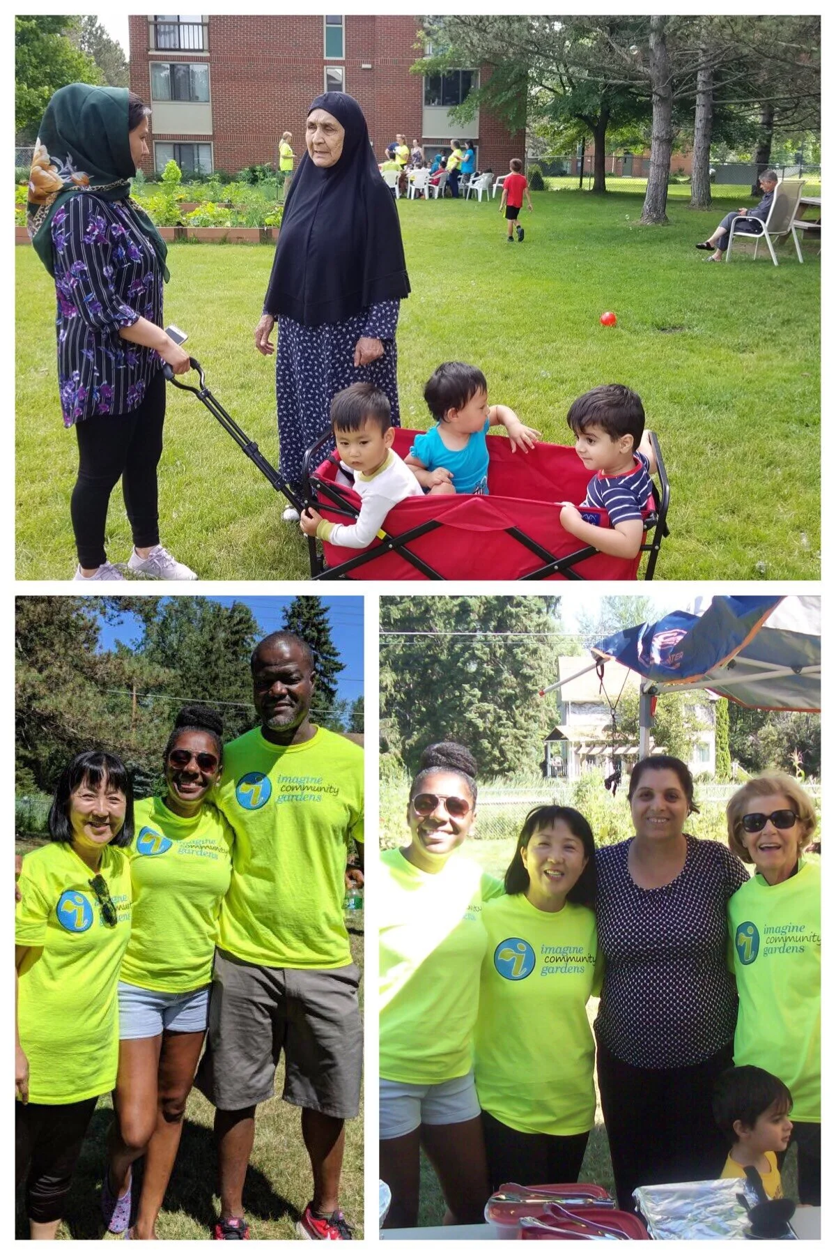 Diversity and Companionship in the Garden