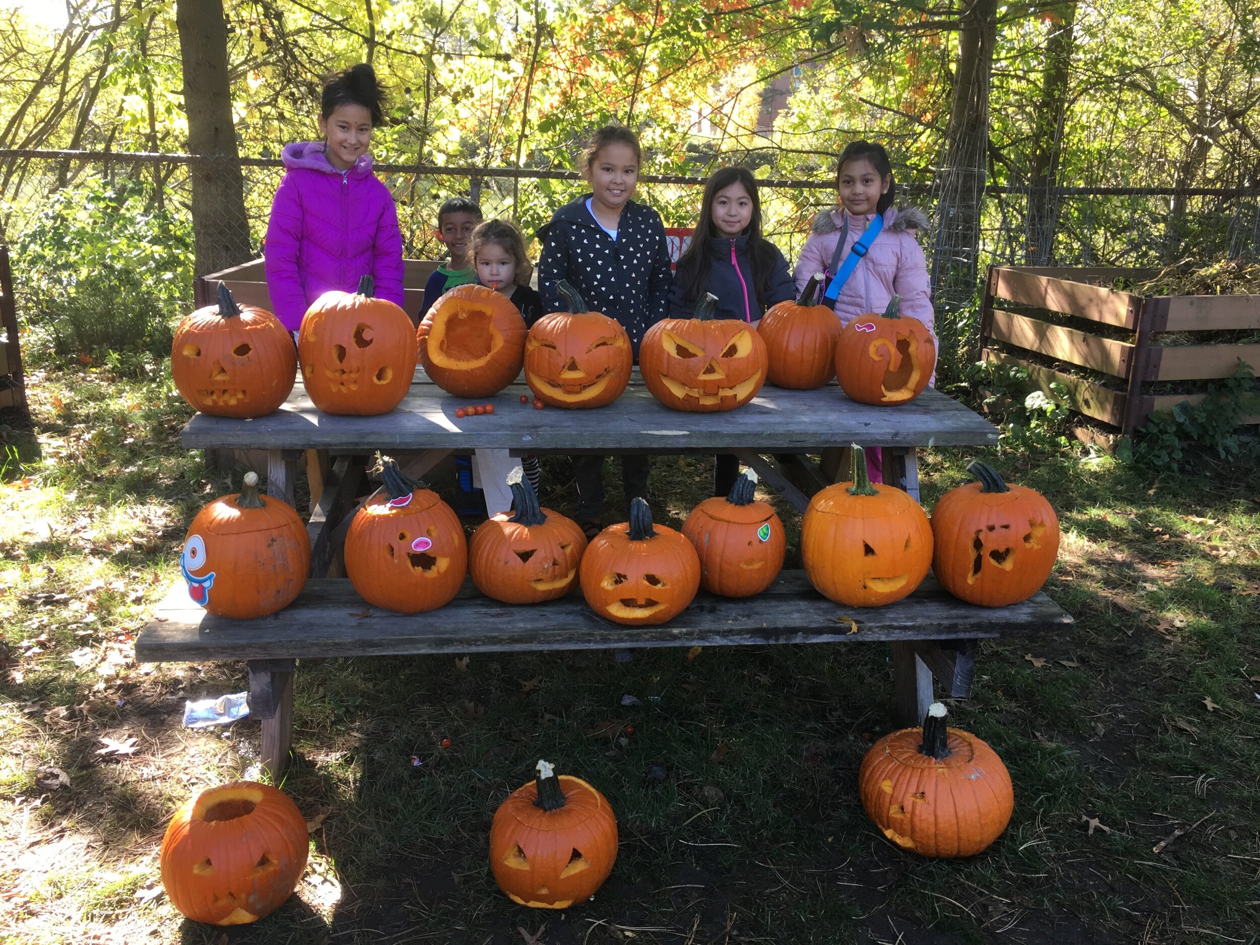 Another perfect pumpkin day