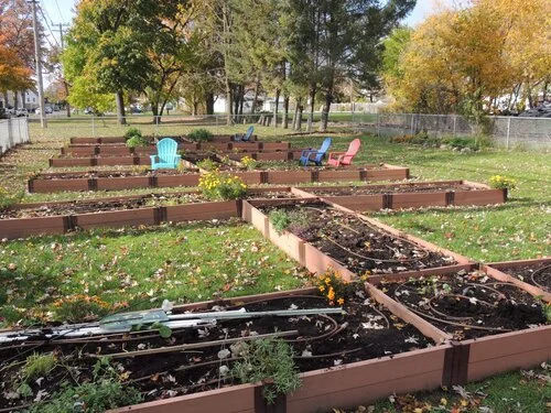 Empty beds, full hearts