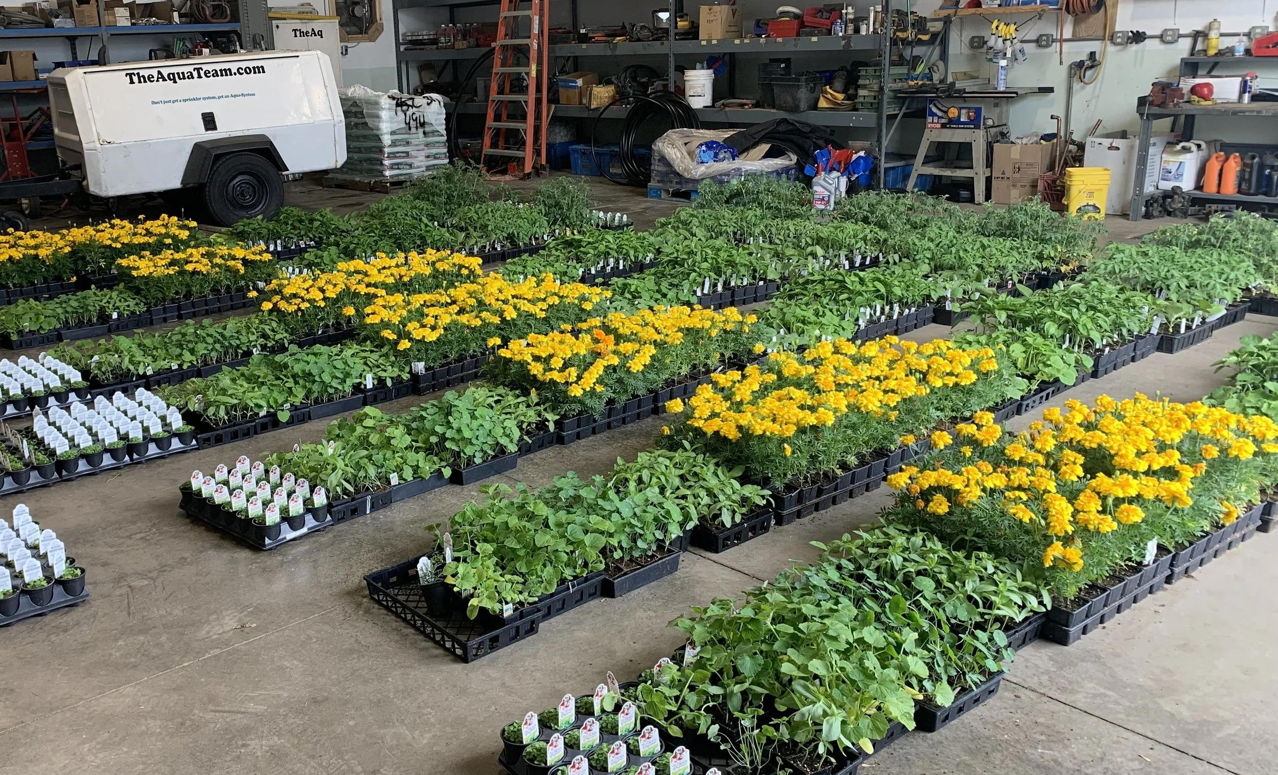 Planting day ahead!!