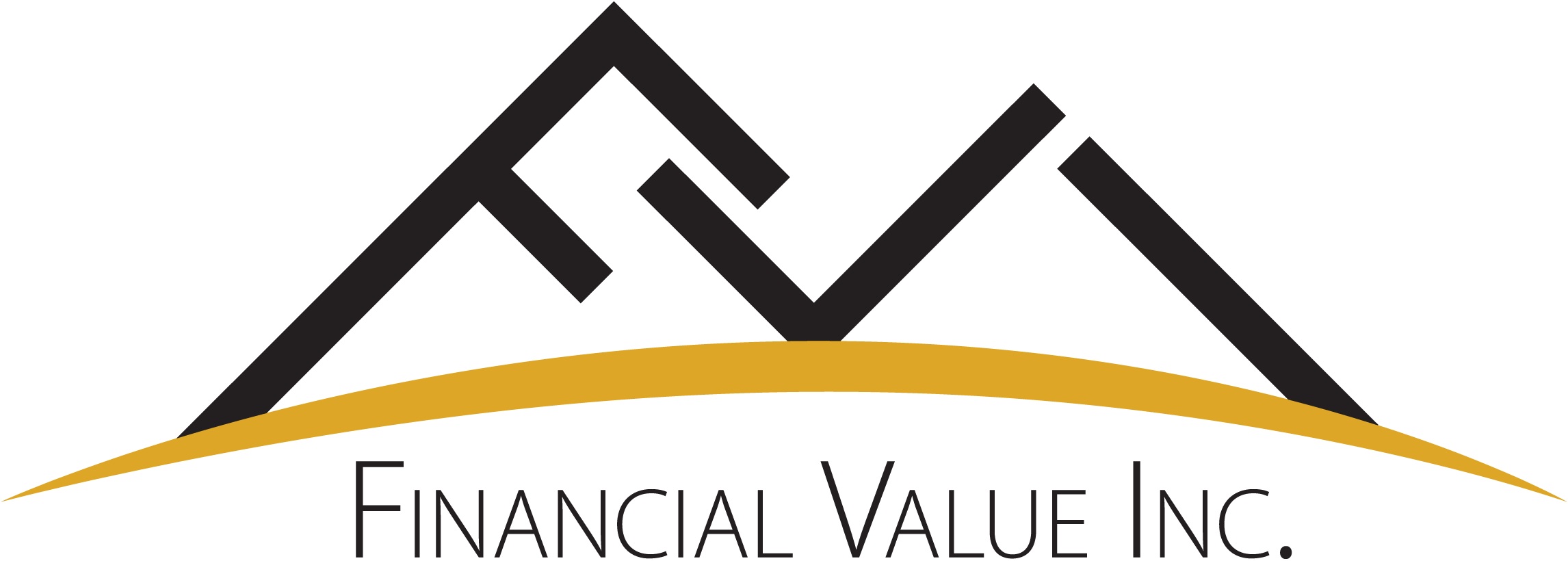 Financial Value Inc