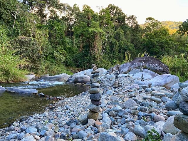 Pure magic in the Chirripo mountains 🌱 #LifeAtRioChirripo