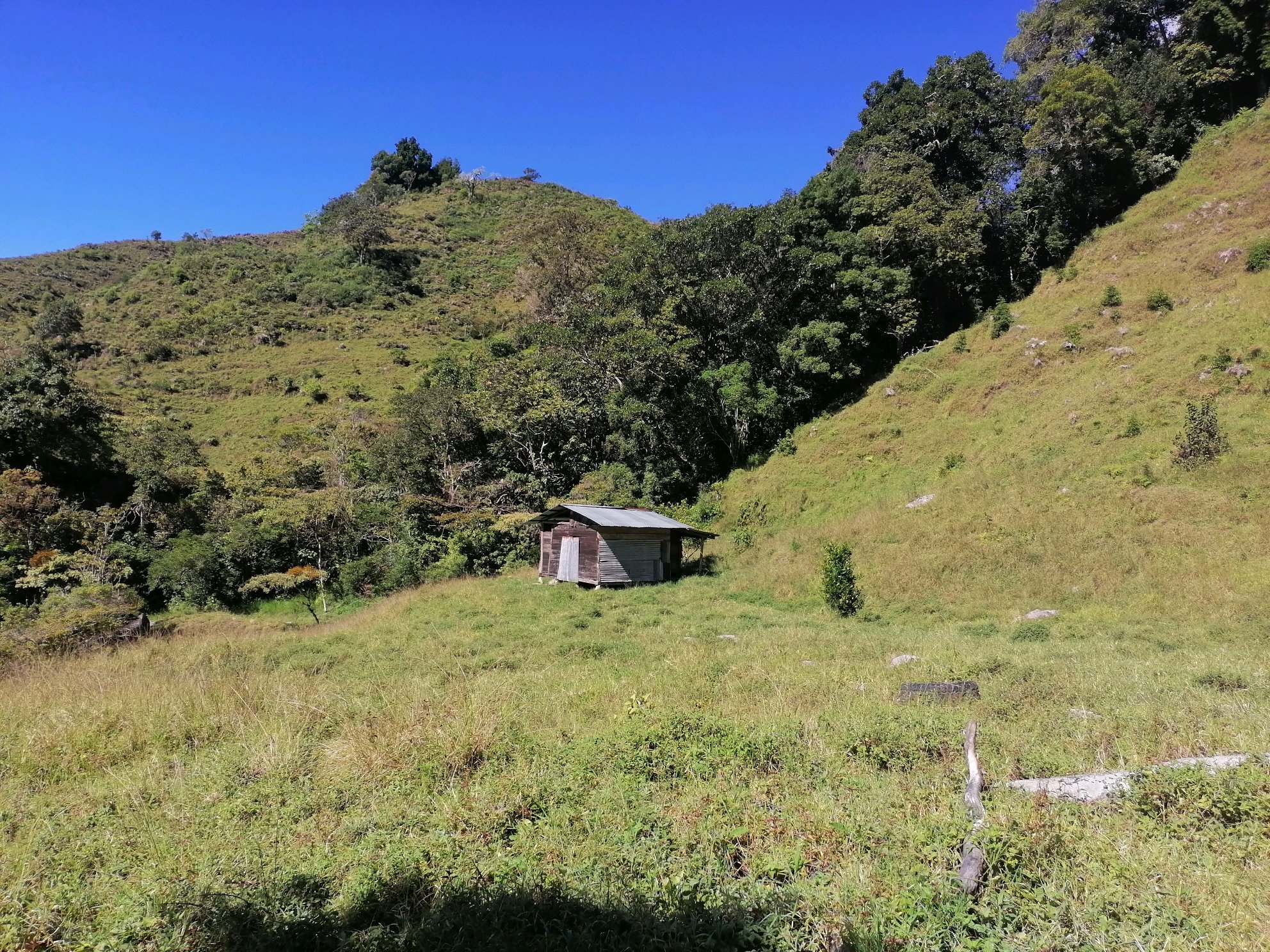 Small shack at the foot of the Rio Blanco 