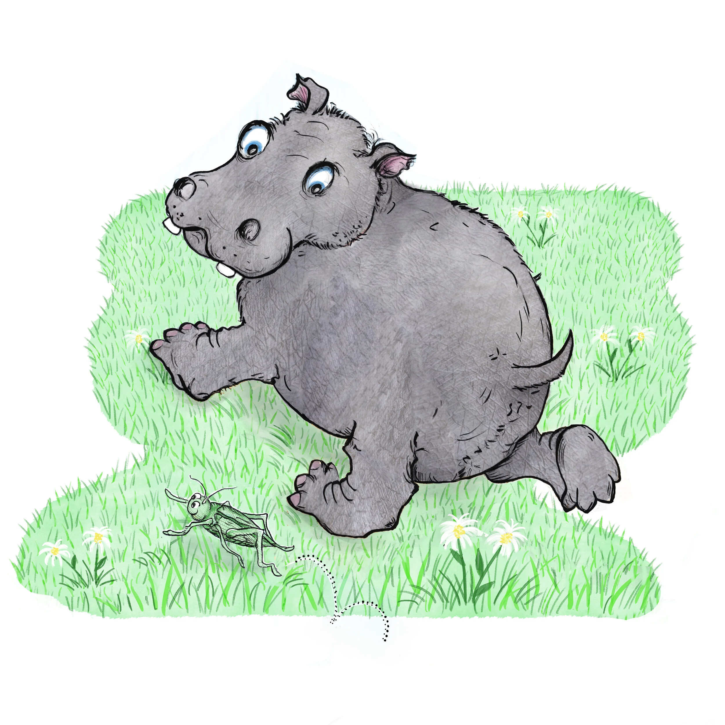 Hippo for Insta .jpg