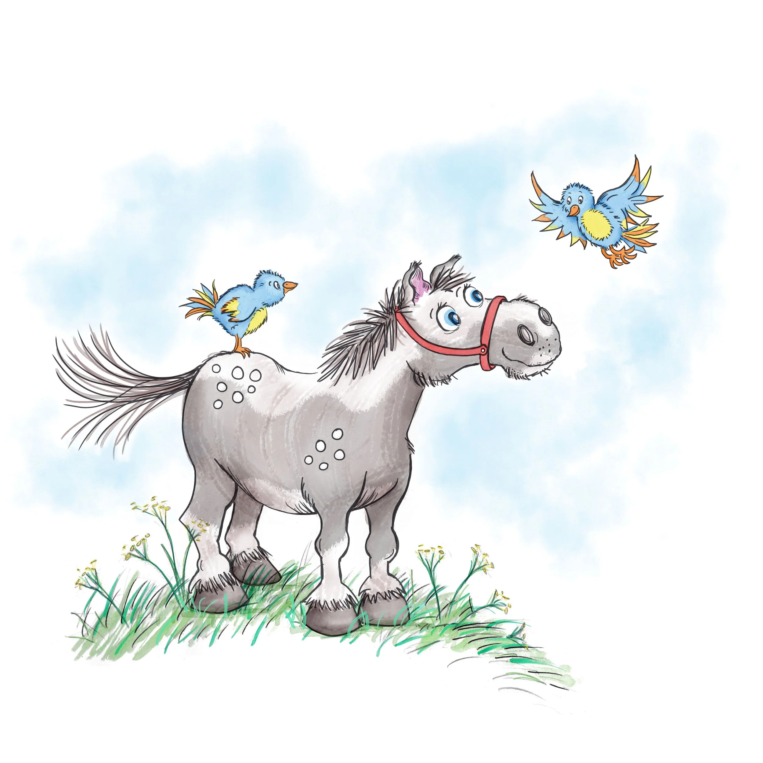 Little horsie JPEG.jpg