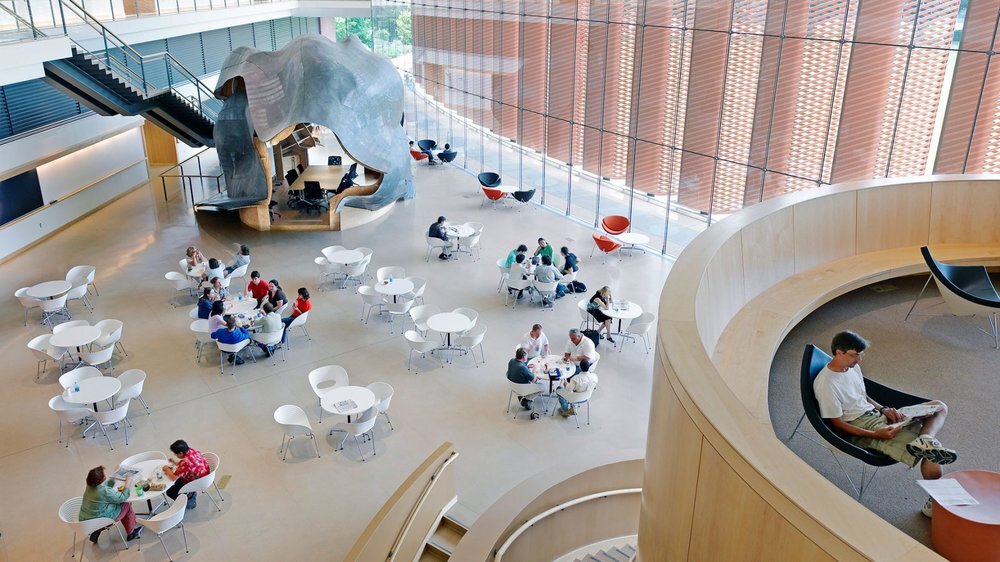 September 2018 : The lab officially ‘opens’ in the Icahn Laboratory.