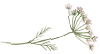 OAL-flower-100px.png