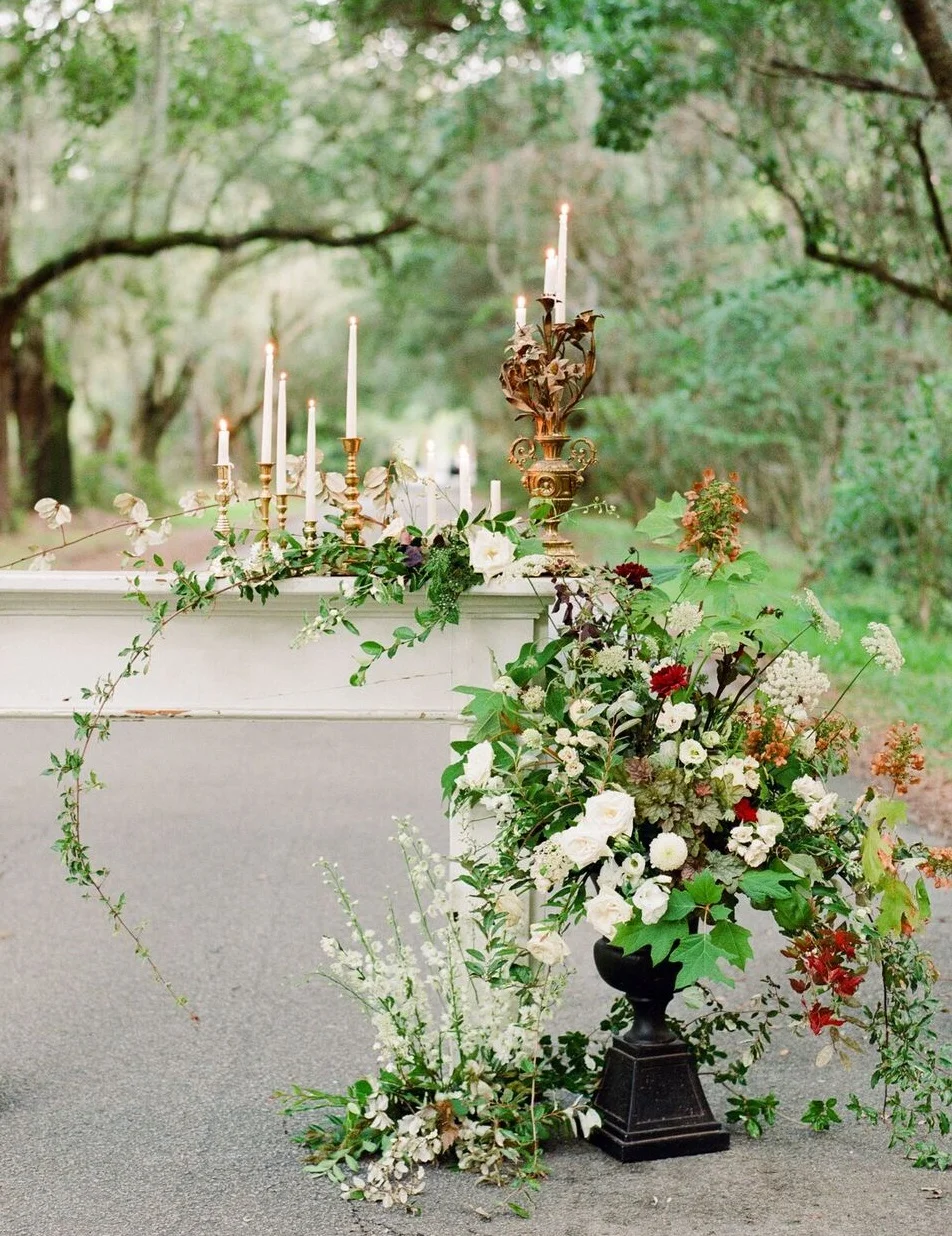 Lisa Blume Photography | Magnolia Plantation