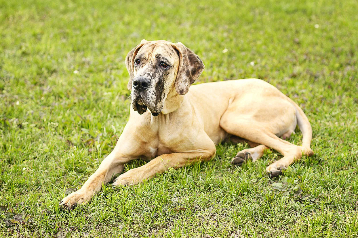 Hemingway_0124.jpg