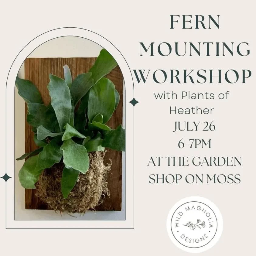 Fern Mounting Workshop - $39
