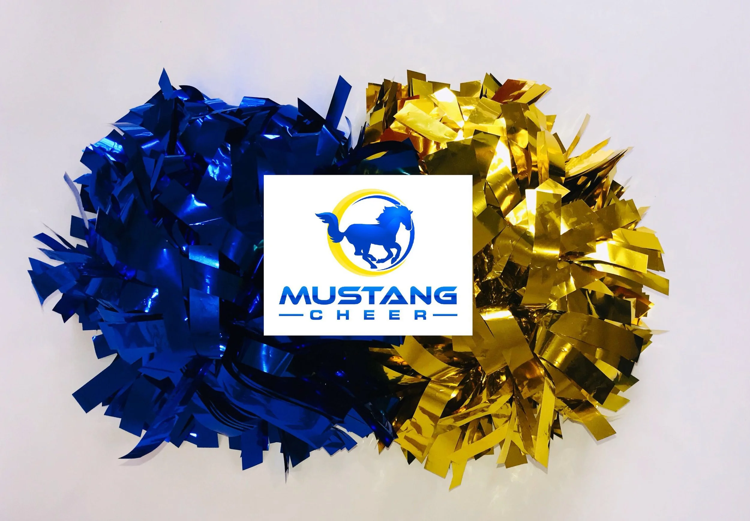 Mustang Cheer Dallas