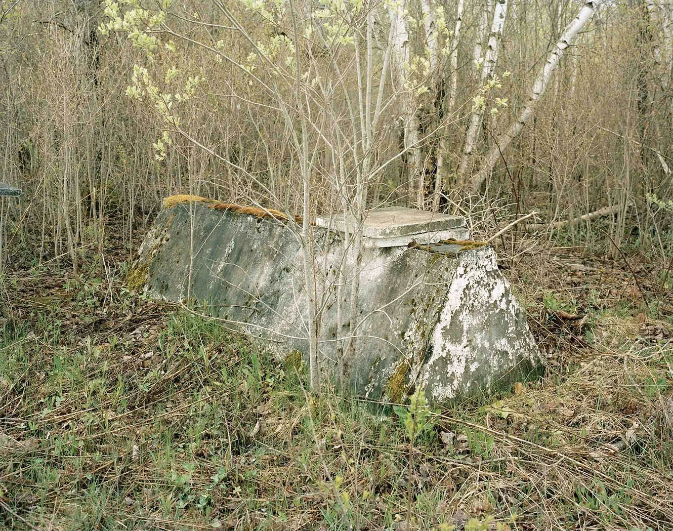 Iraqi grave, 2023 (Copy) (Copy)