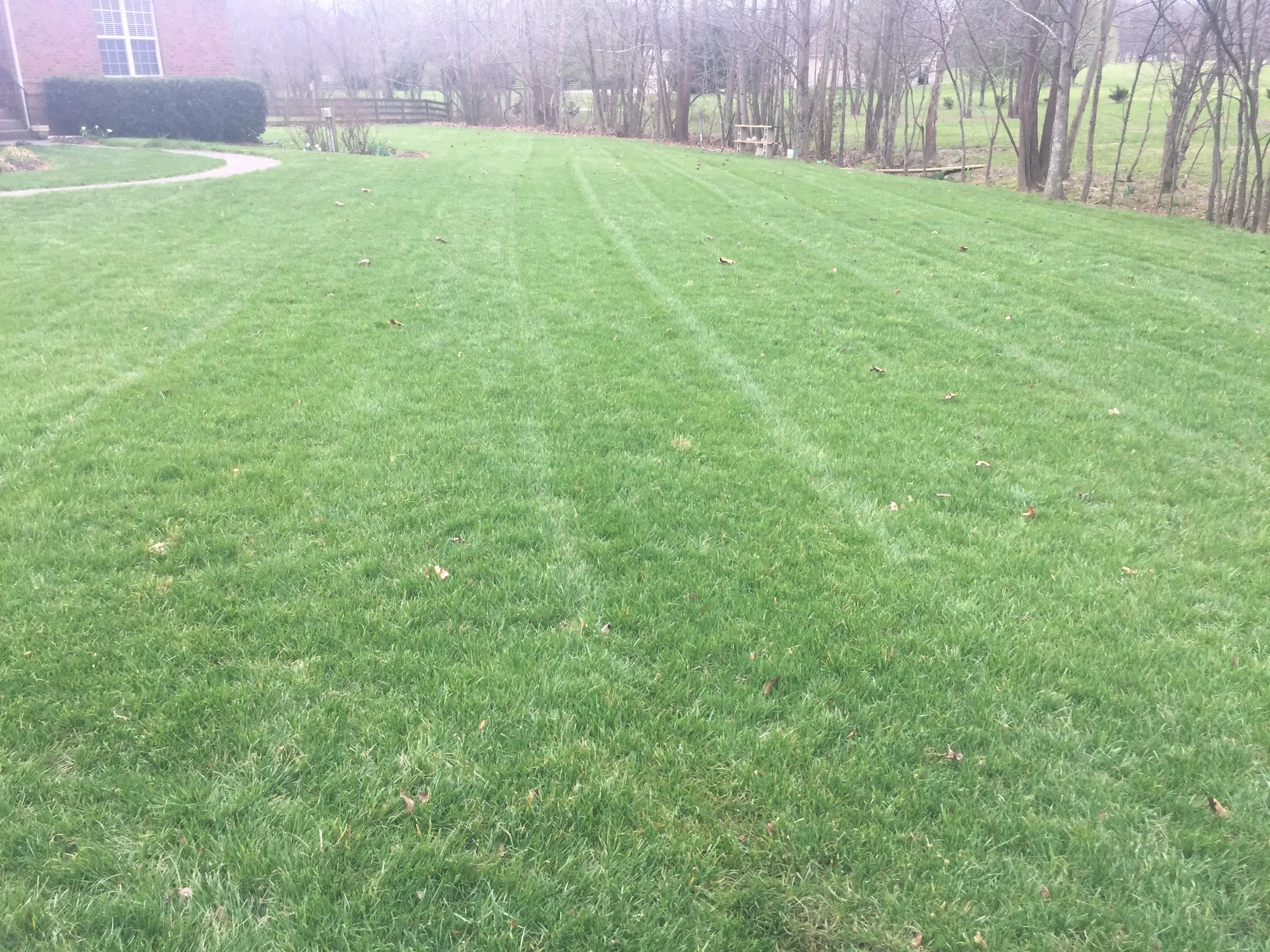 YardStripes.jpg
