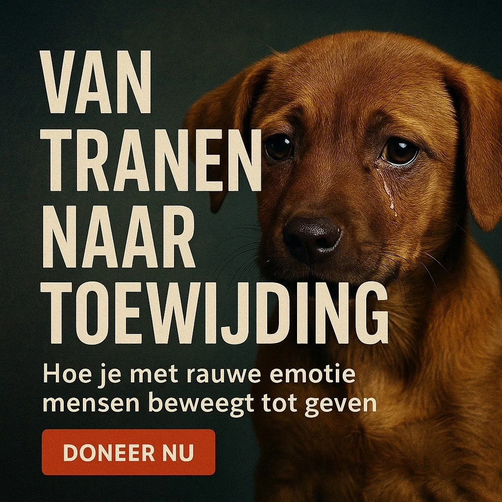 Van tranen tot toewijding - Hoe rauwe emotie beweegt tot geven