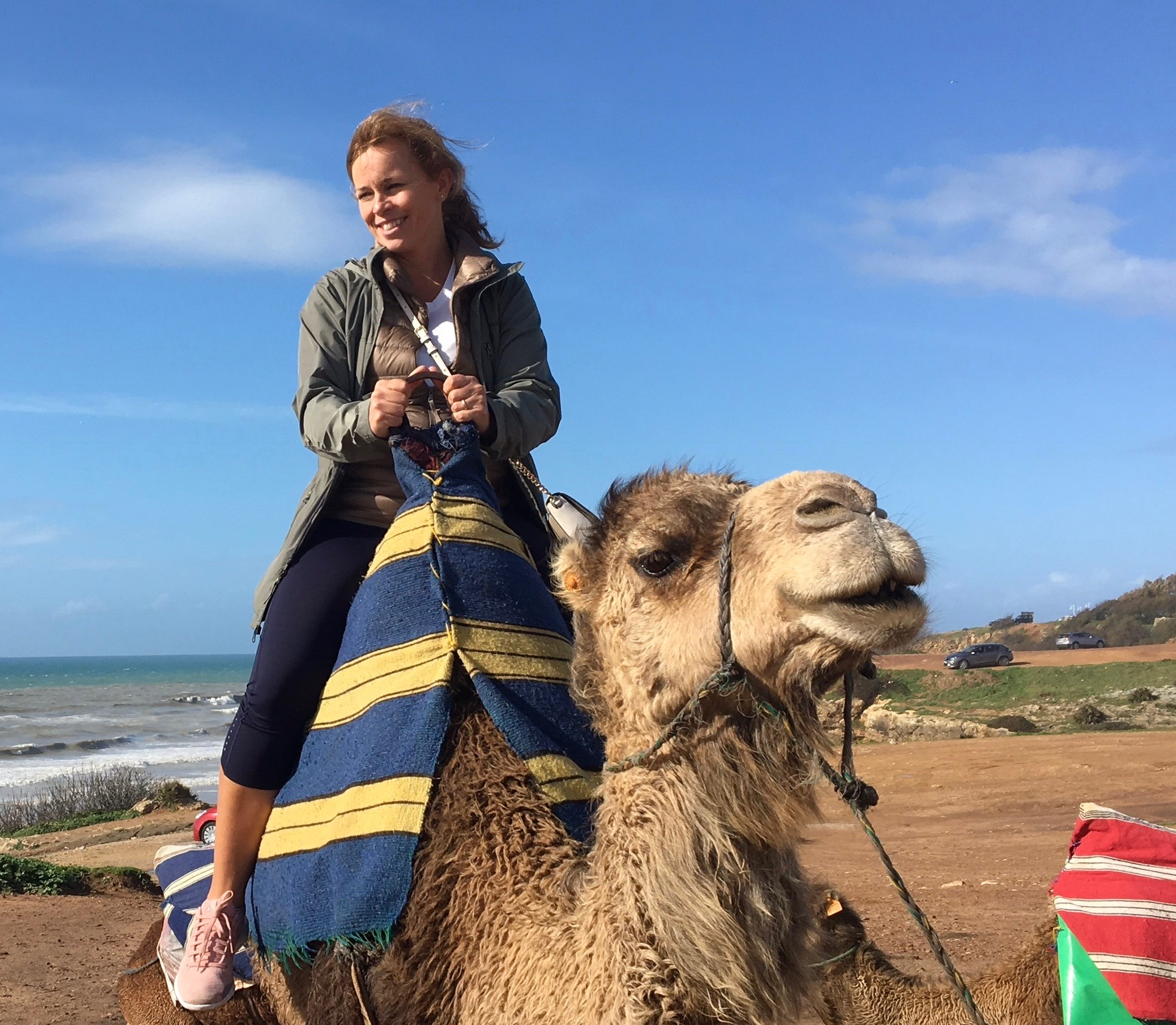 Camel.jpeg