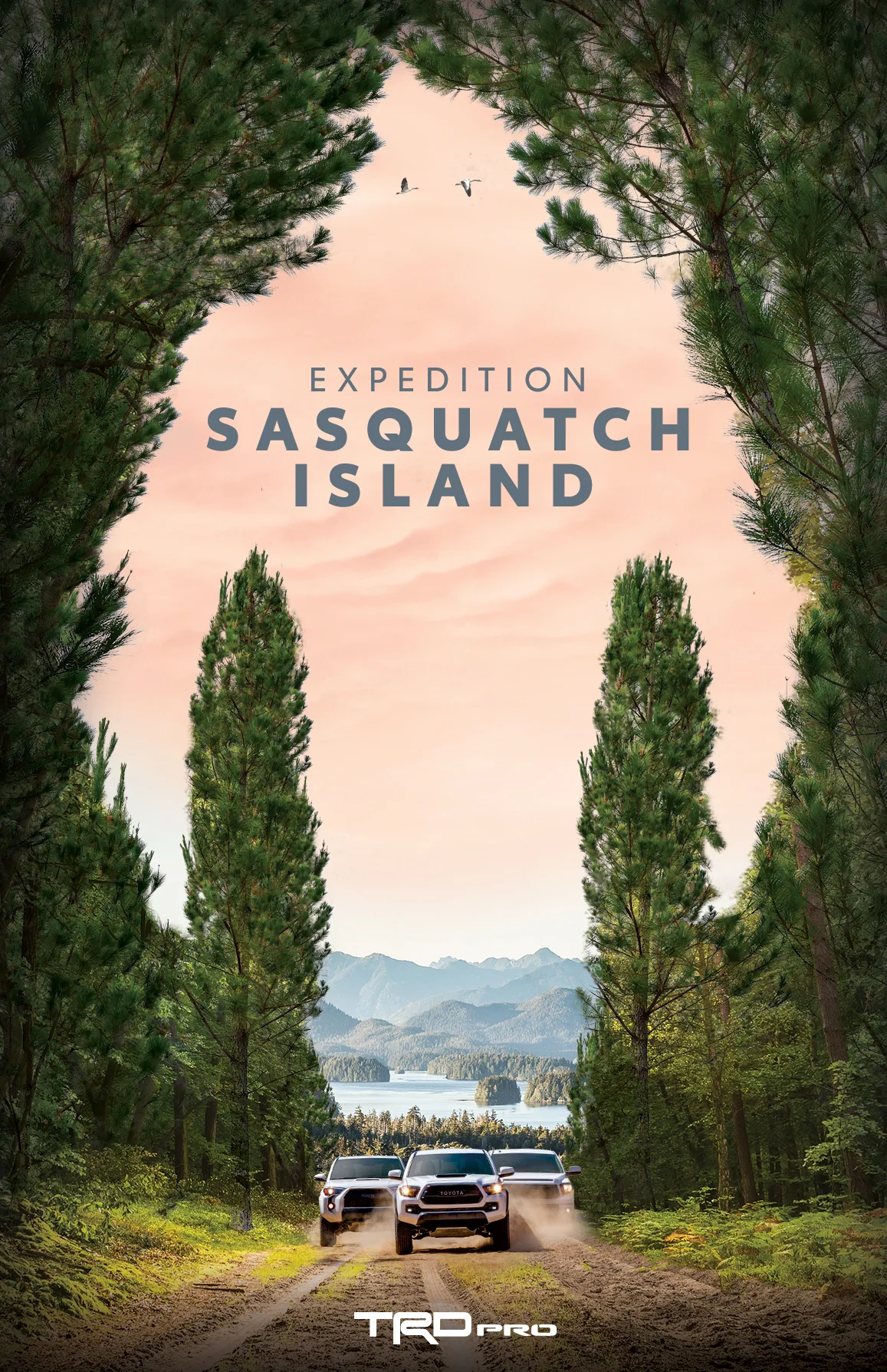 SASQUATCH-POSTER-2.jpg