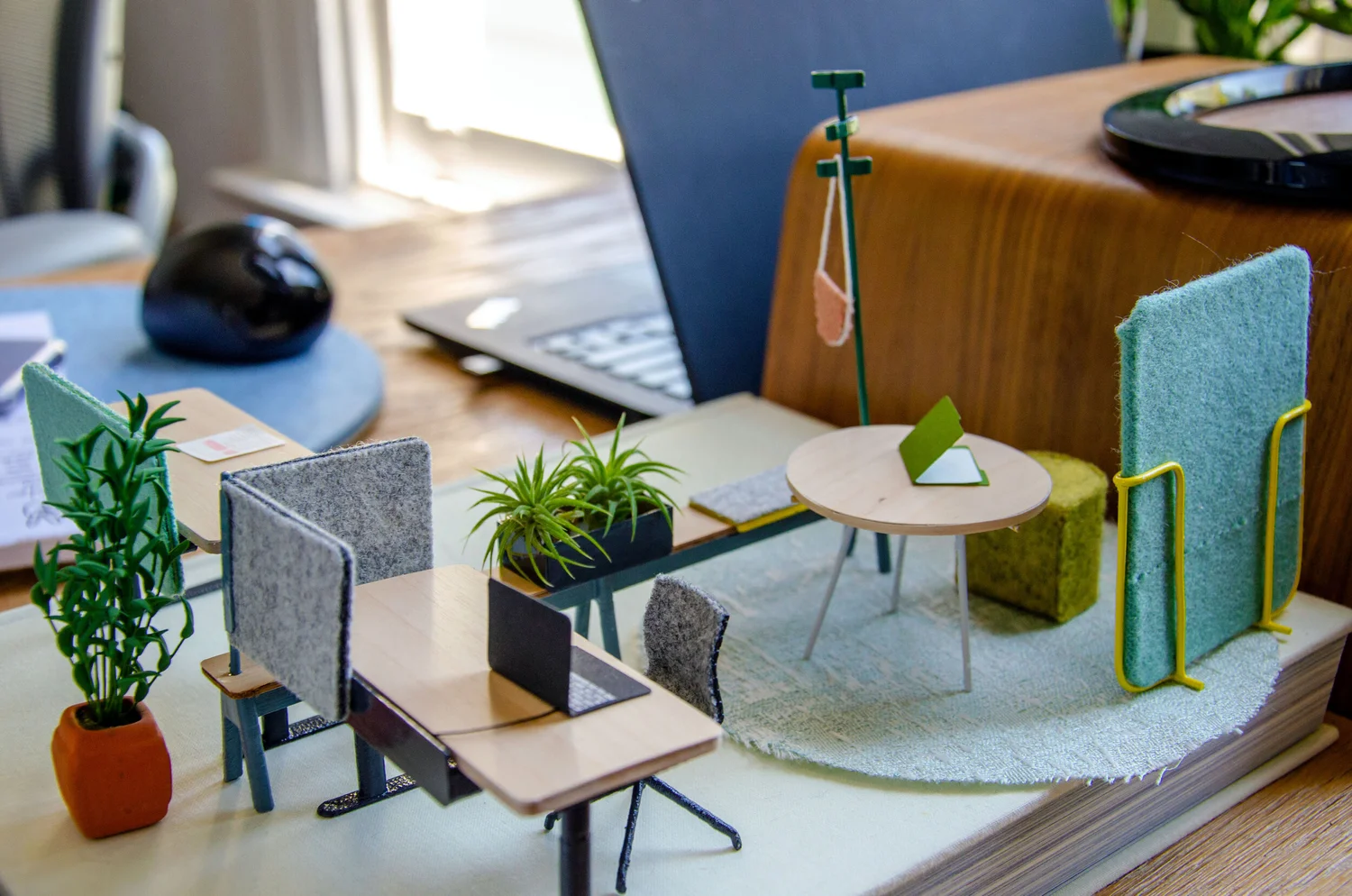 Meet Olli Mini Blog — Pair