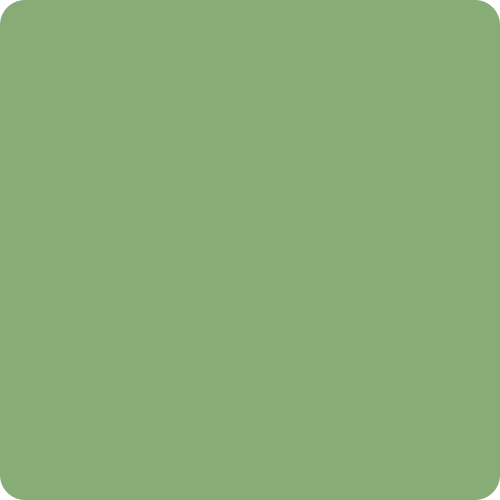 olive gloss