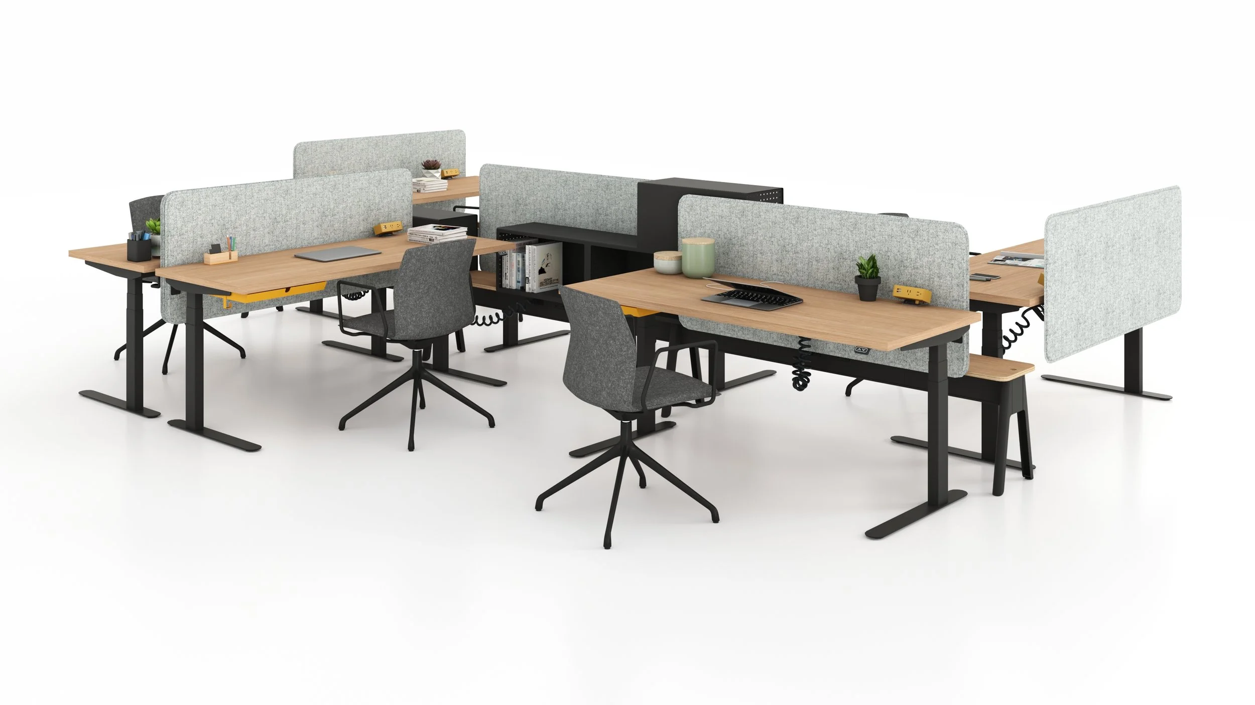 Olli_Midnight_White Oak_007.jpg