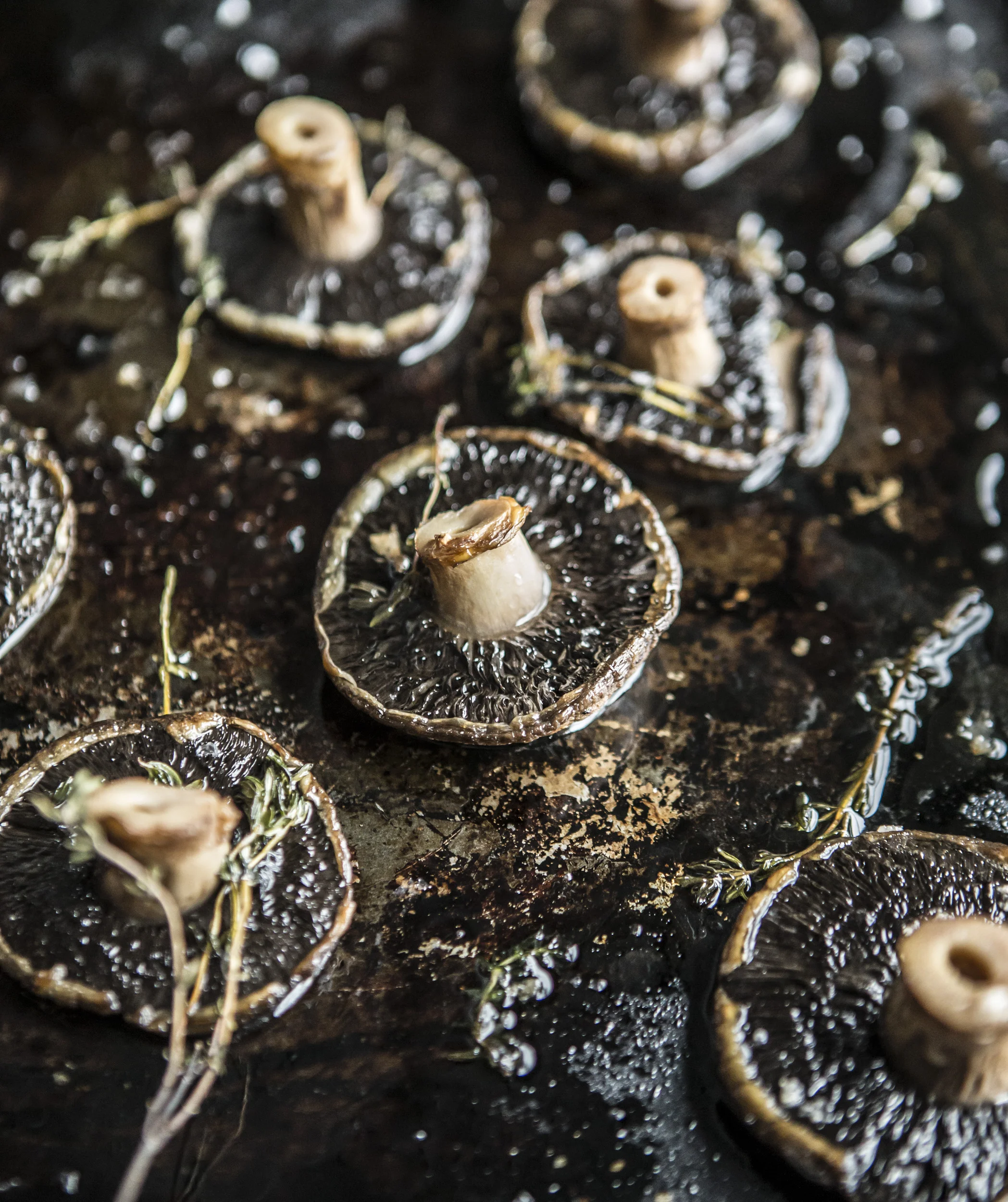 Mushrooms 2.jpg