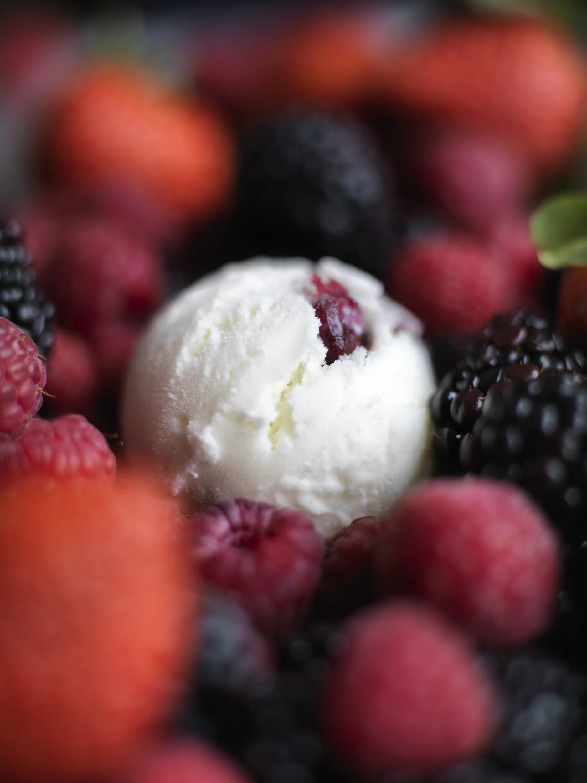 Wildberry Yogurt.jpg