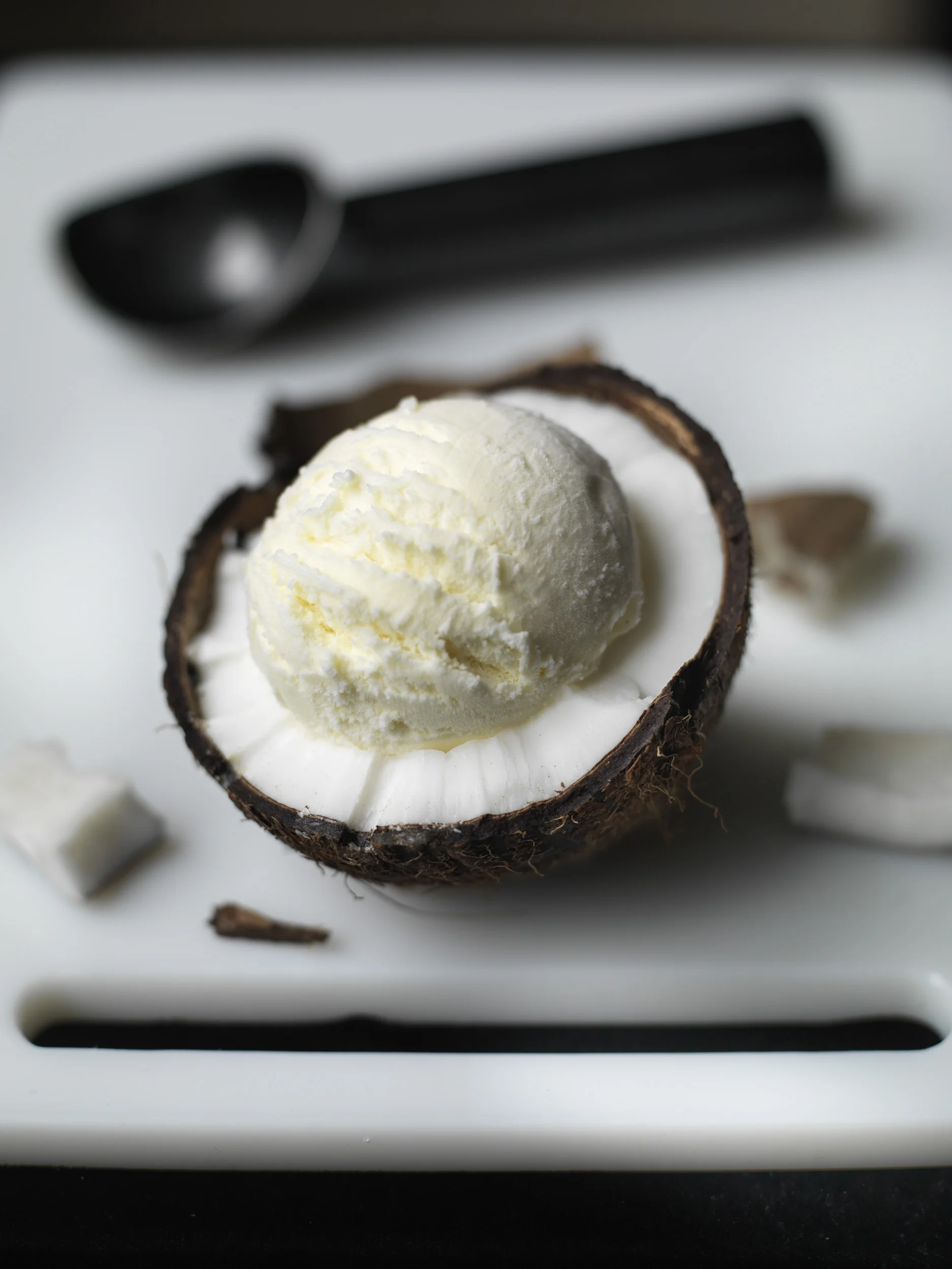 Coconut.jpg