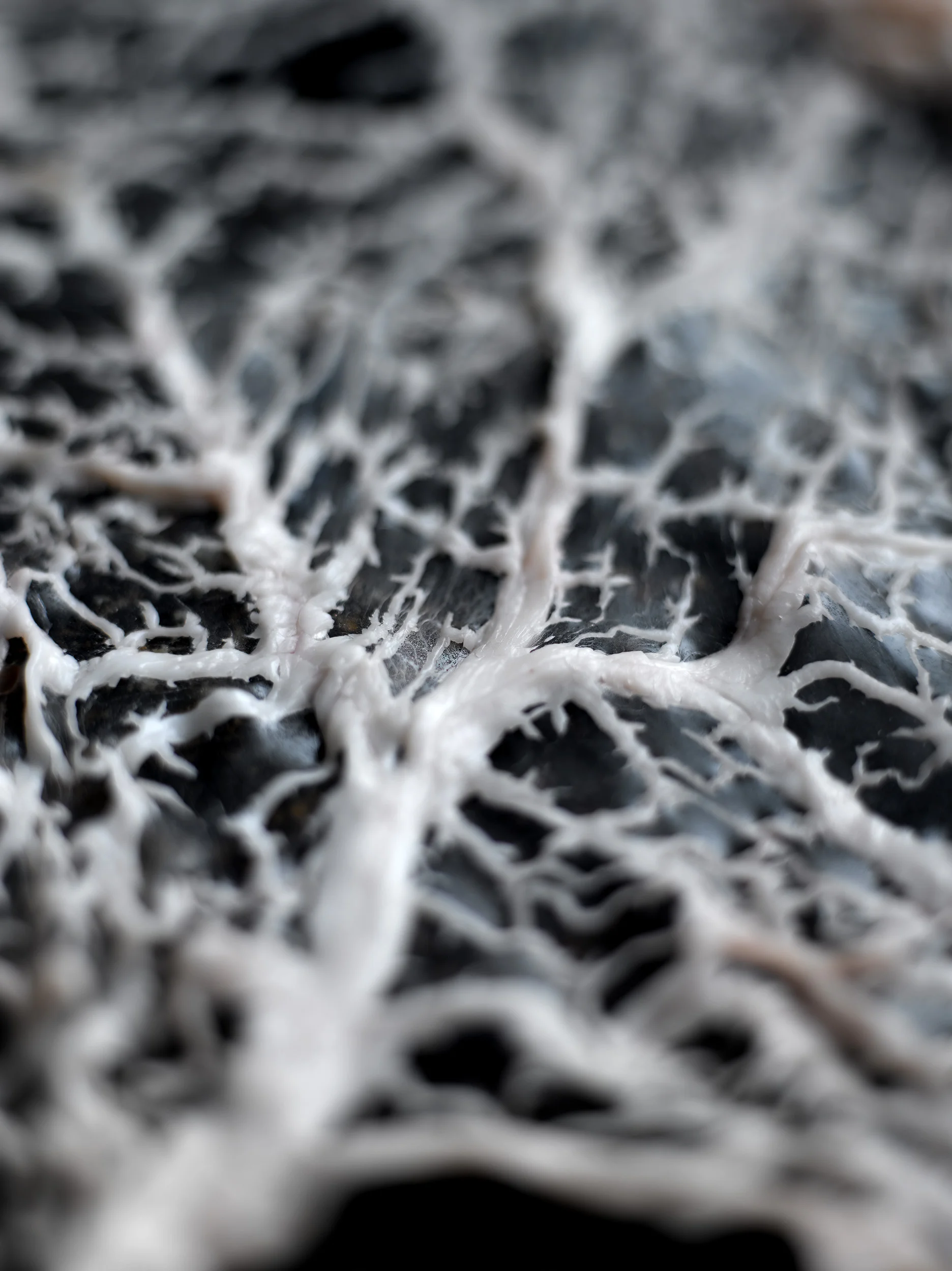 Caul Raw.jpg