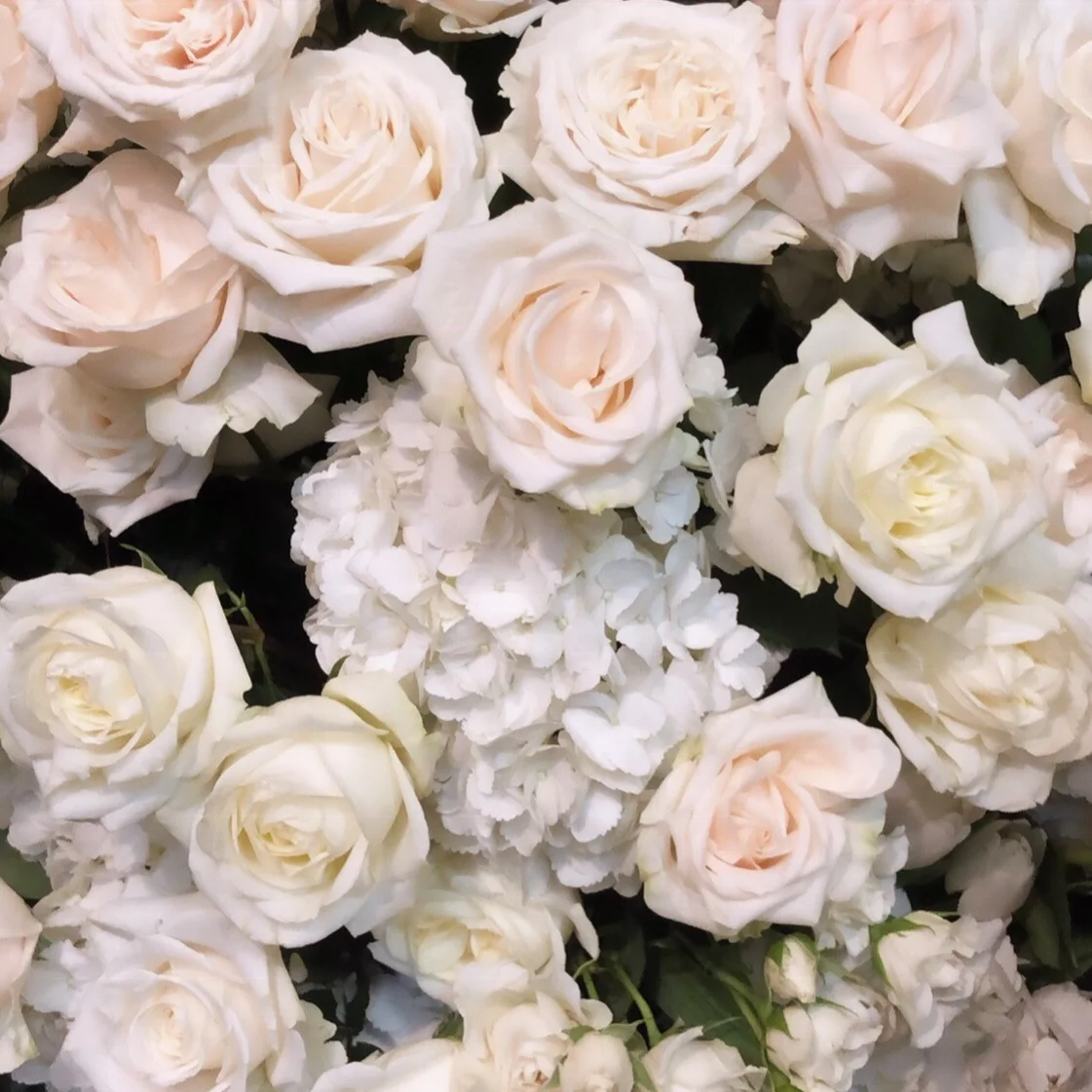 Flowers+.jpg