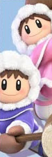 Ice Climbers (Copy)