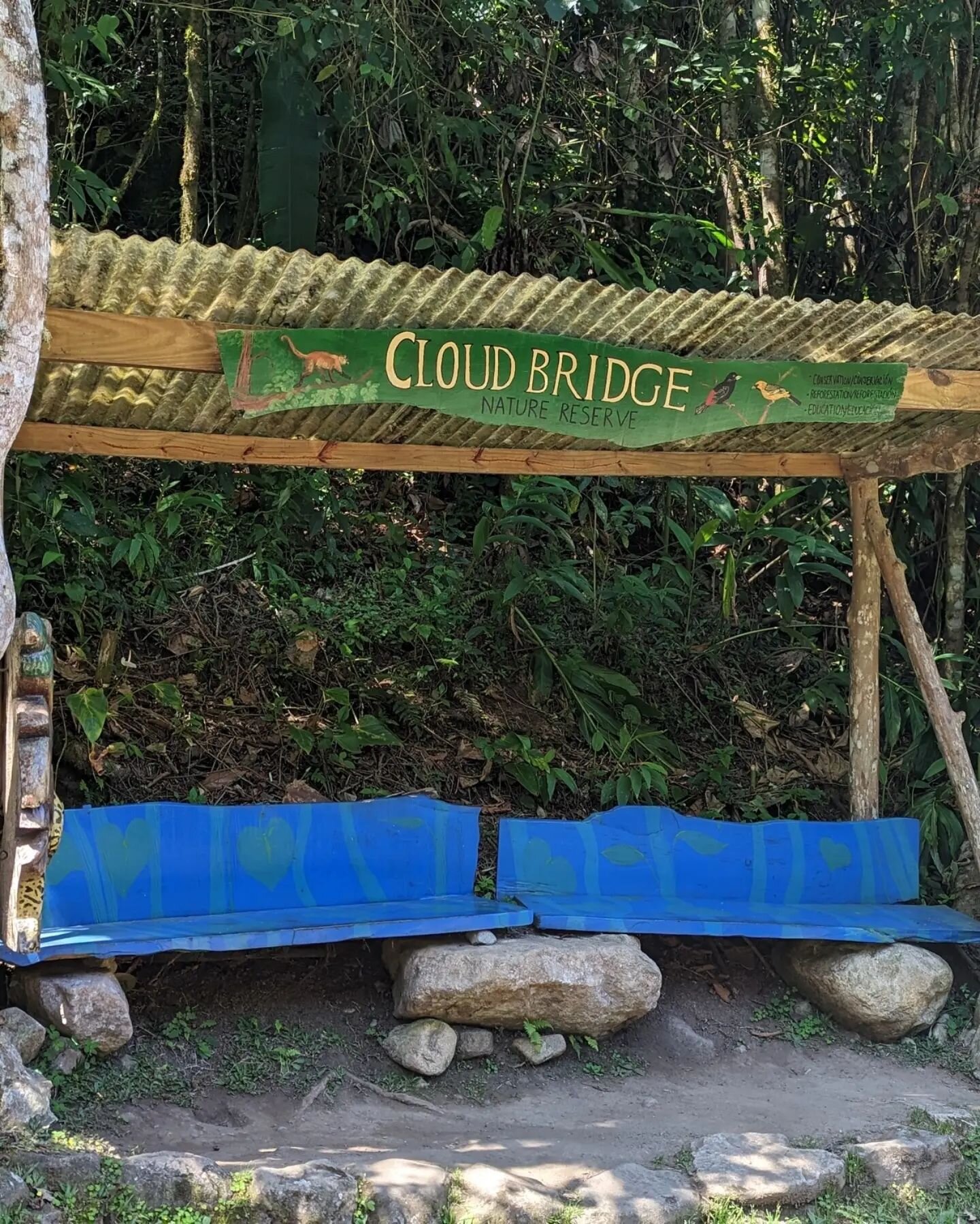 Cloudbridge and butterfly garden.