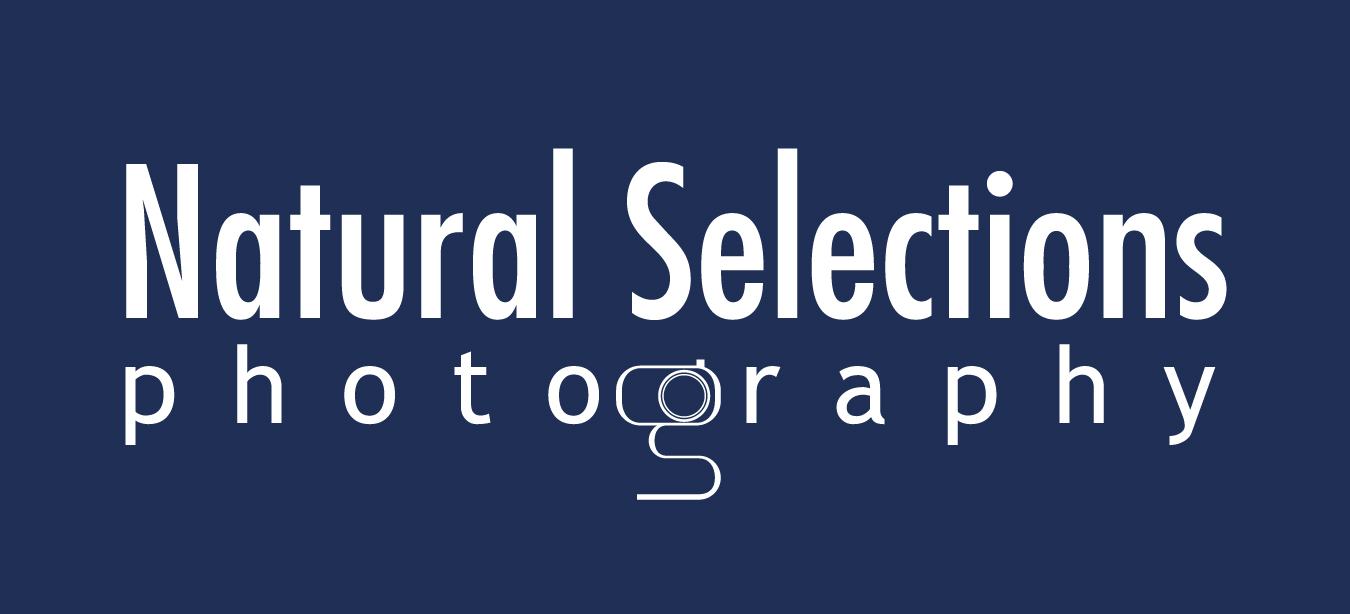 logo_natural selections.jpg