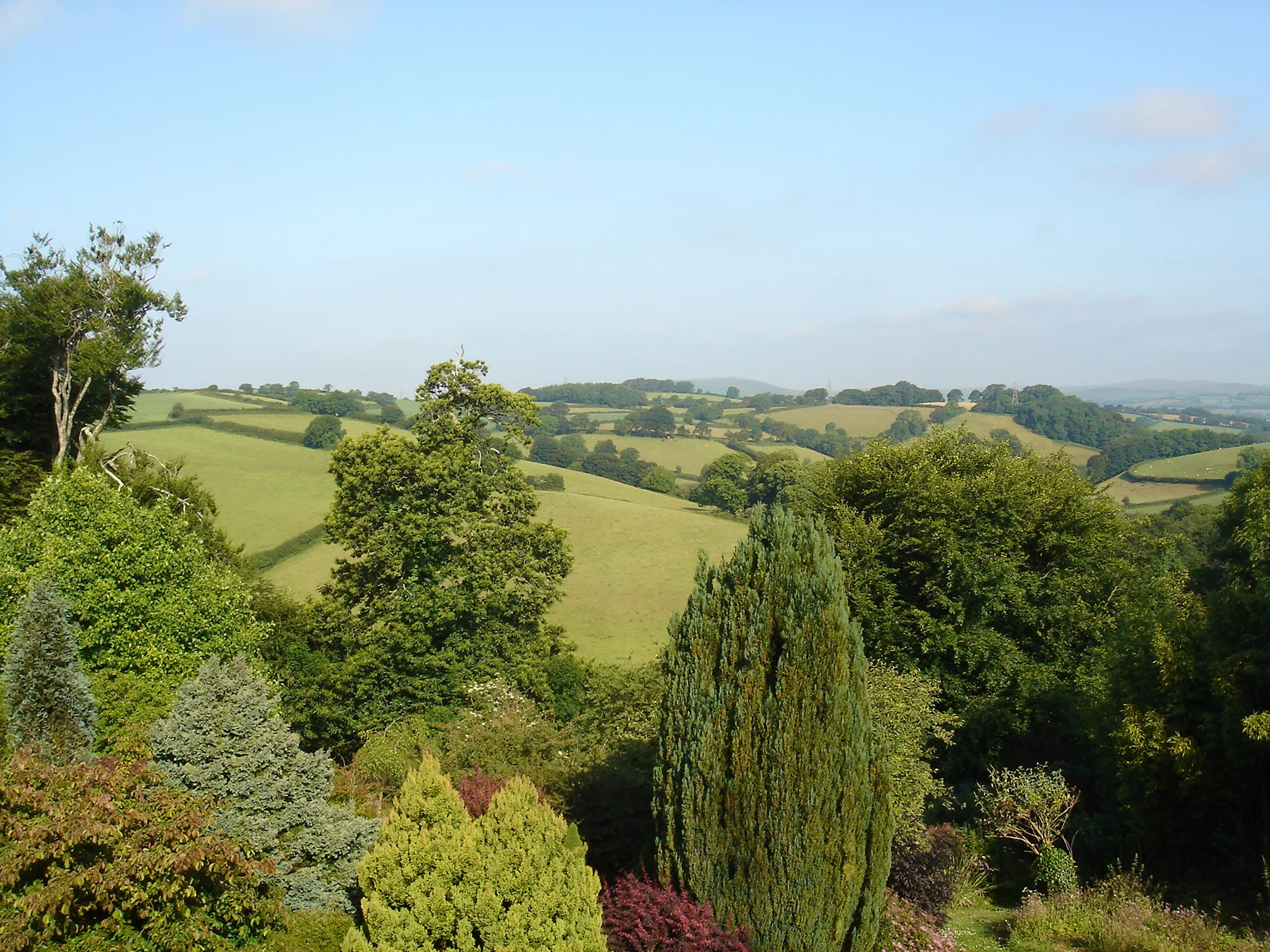 banner-view.jpg