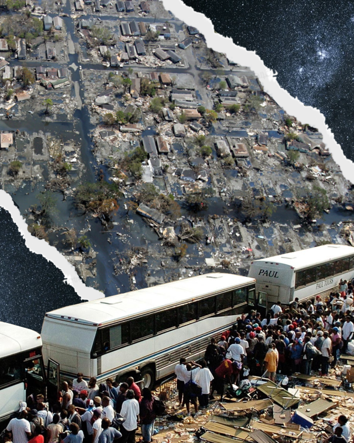 Untitled_Artwork 33.PNG