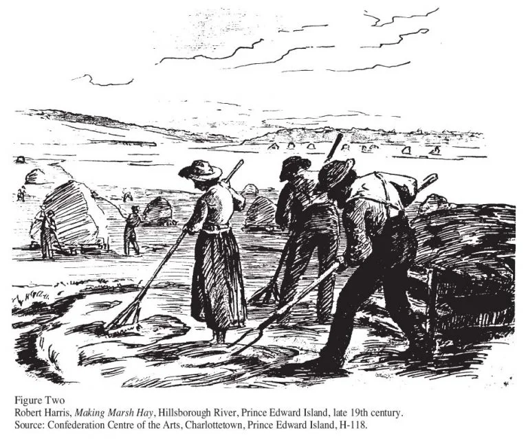 Making-Marsh-Hay-Robert-Harris-768x639.jpg