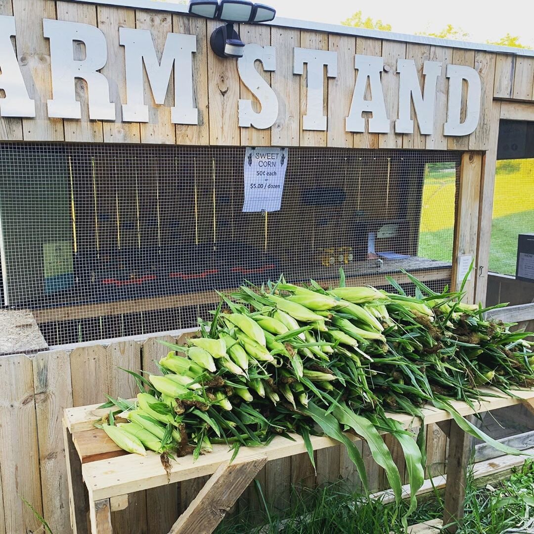 Mud Creek Farm A Growing Success Sargent Road Association