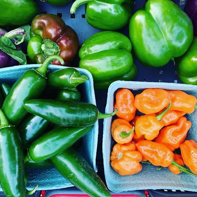 Mud Creek Farm A Growing Success Sargent Road Association