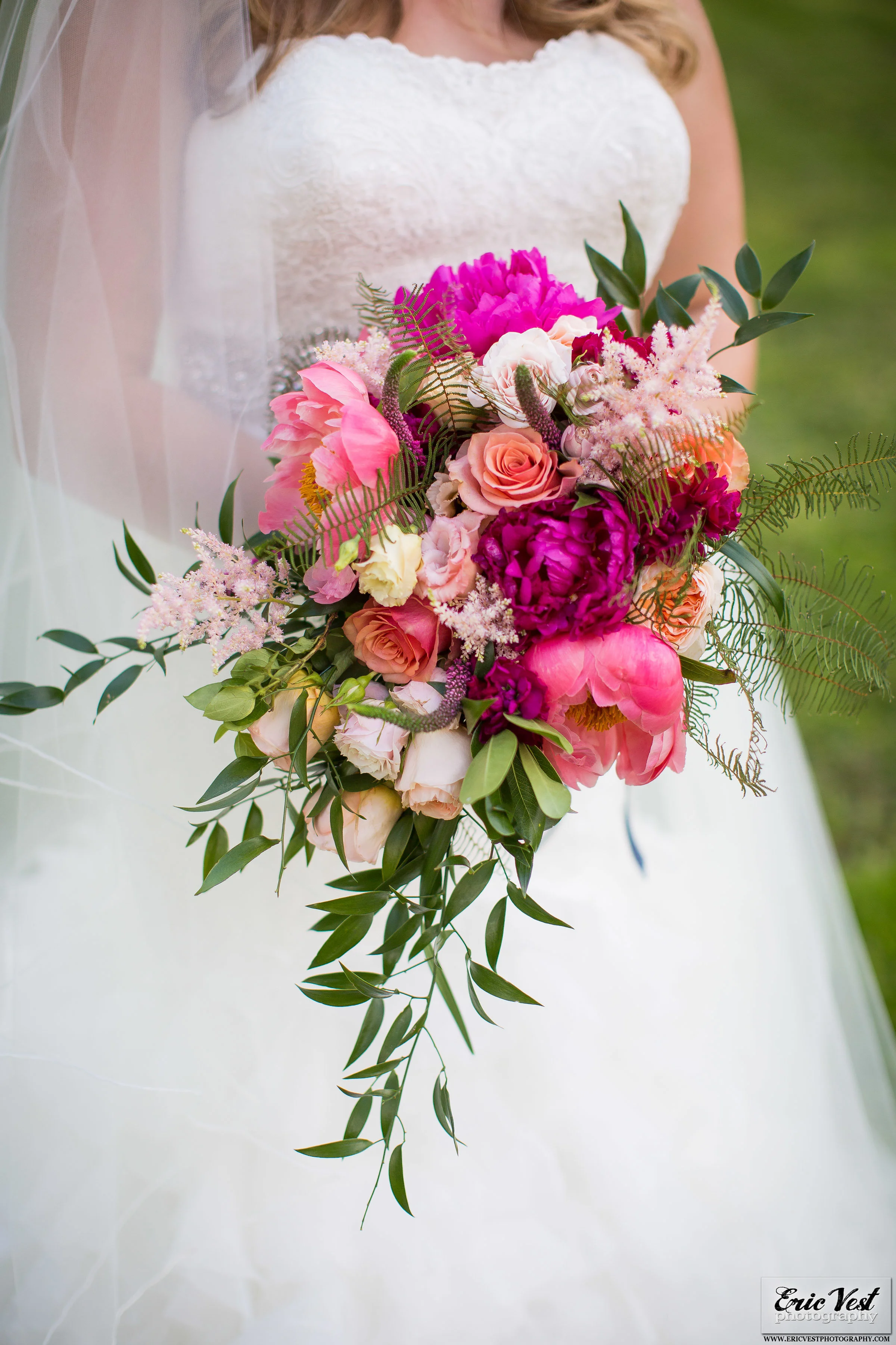 Image Courtesy of Eric Vest Photography