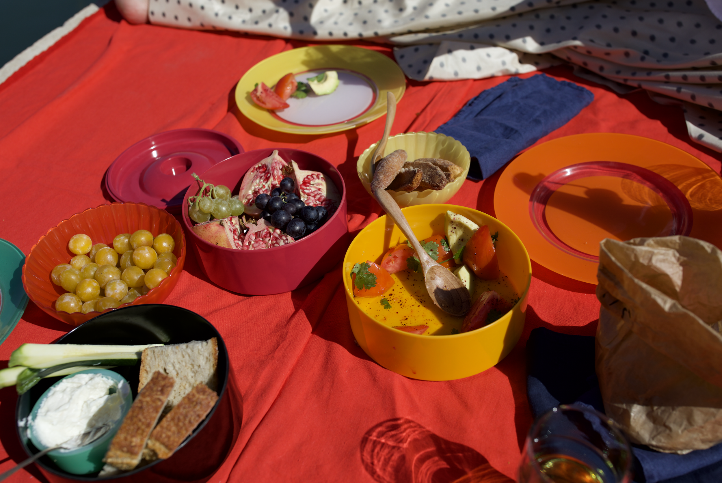 Picnic on the bank of the Rhone River with Pomegranate, Mirabelles, Navette de Marseilles, and Tomato Salad: 3 fresh tomatoes cubed, 1 bunch fresh cilantro, olive oil, salt and pepper to taste.