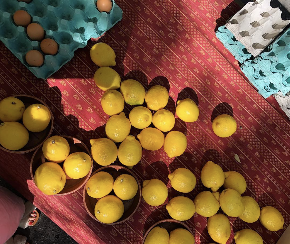 Screen Shot 2019-03-10 at 1.31.06 AM.png