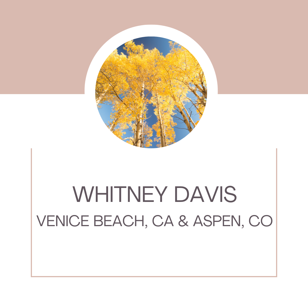 Whitney Davis, Entrepreneur 
