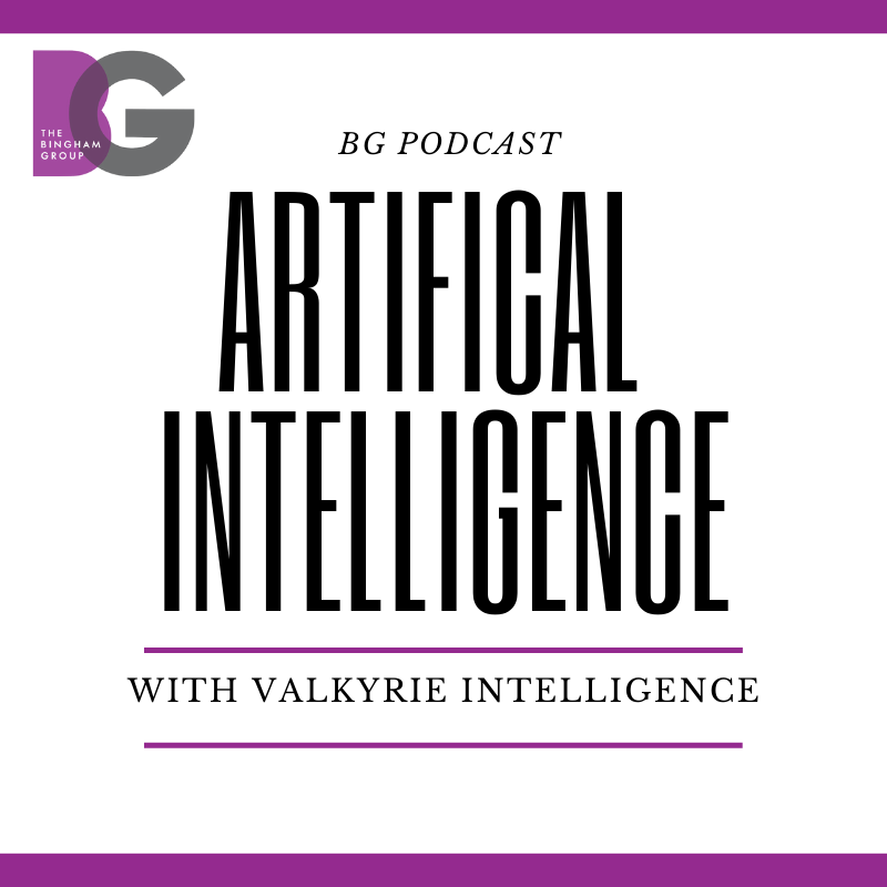 Episode 67: Exploring Public Sector A.I. with Valkyrie Intelligence