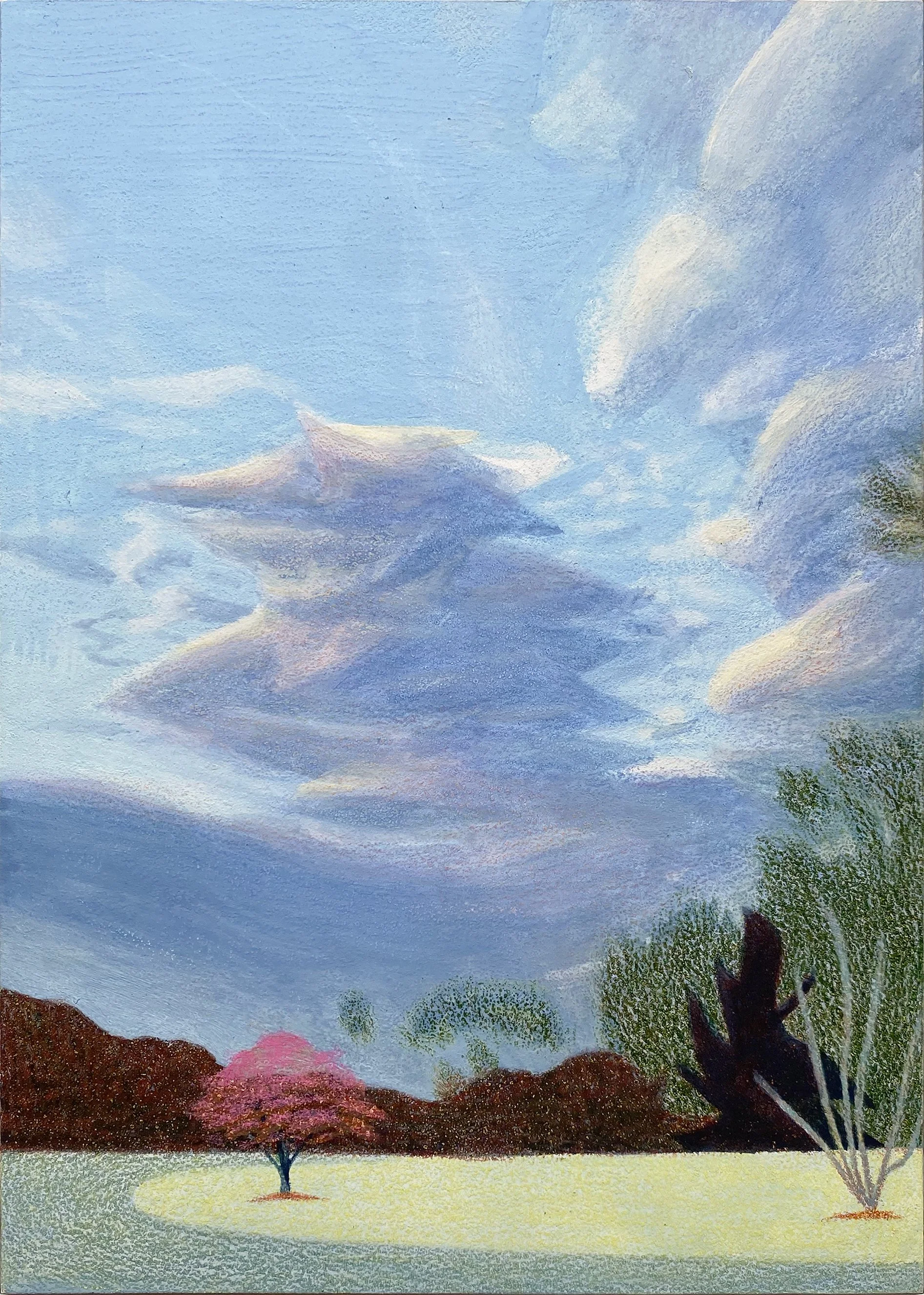 Magnolia Under the Clouds (Raynham)