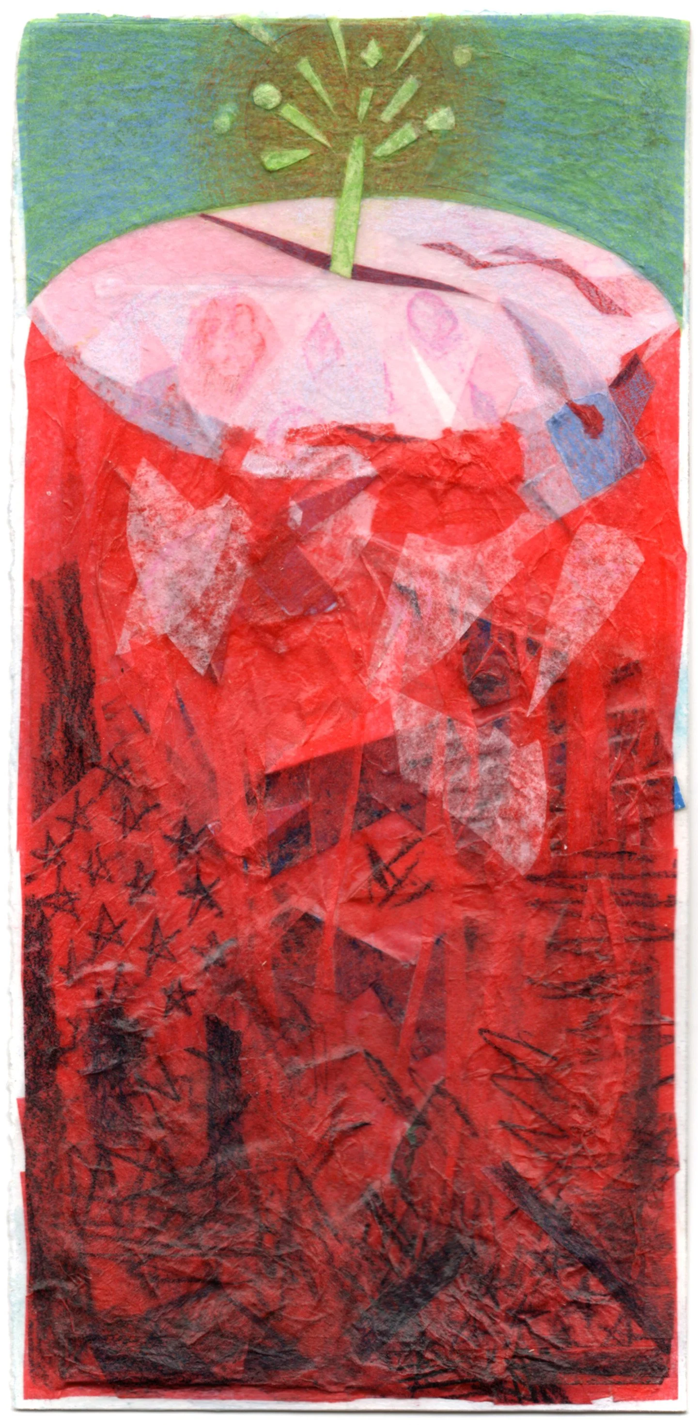 Shoot From a Stump Study