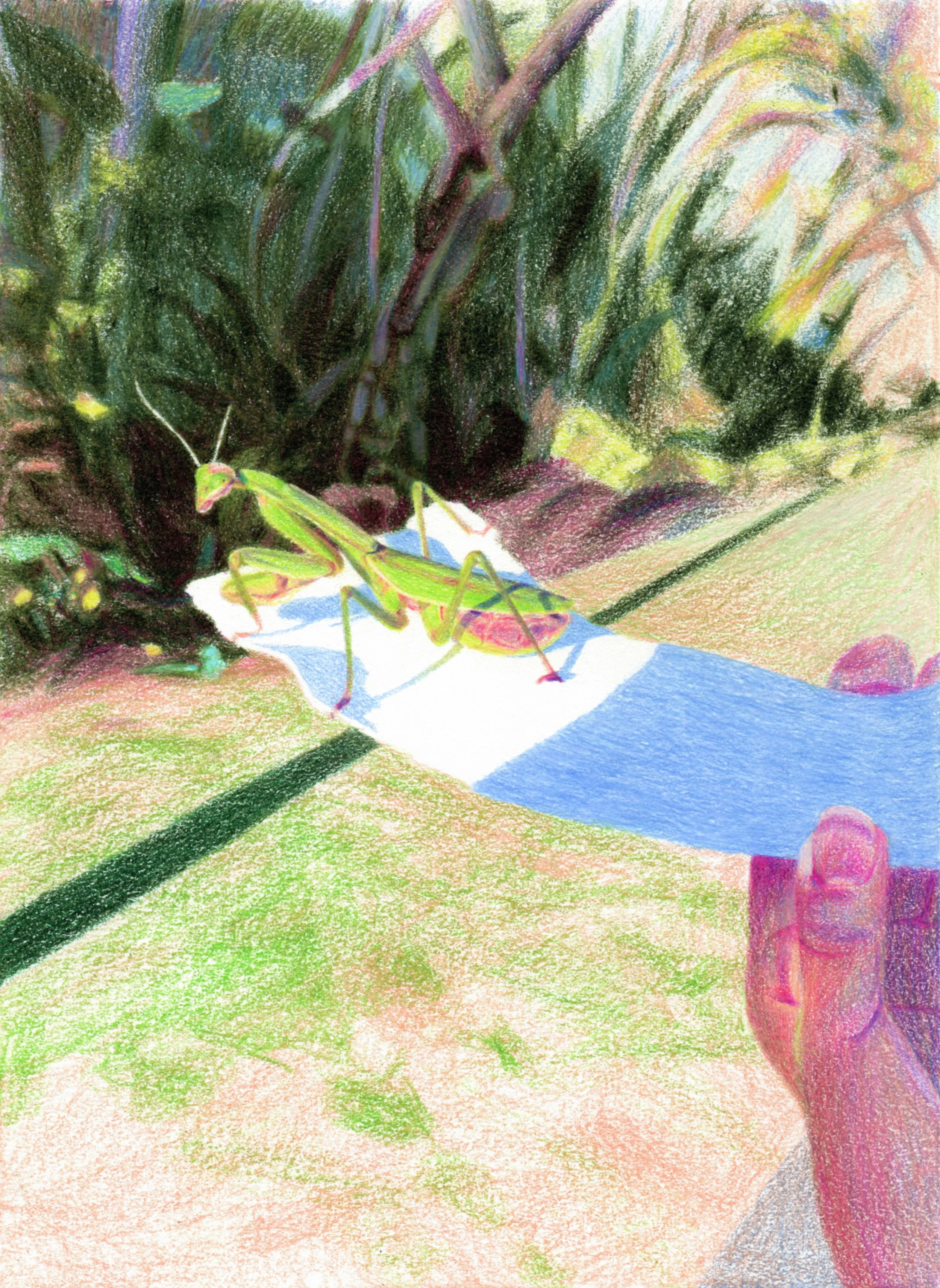 Journey with Margaret