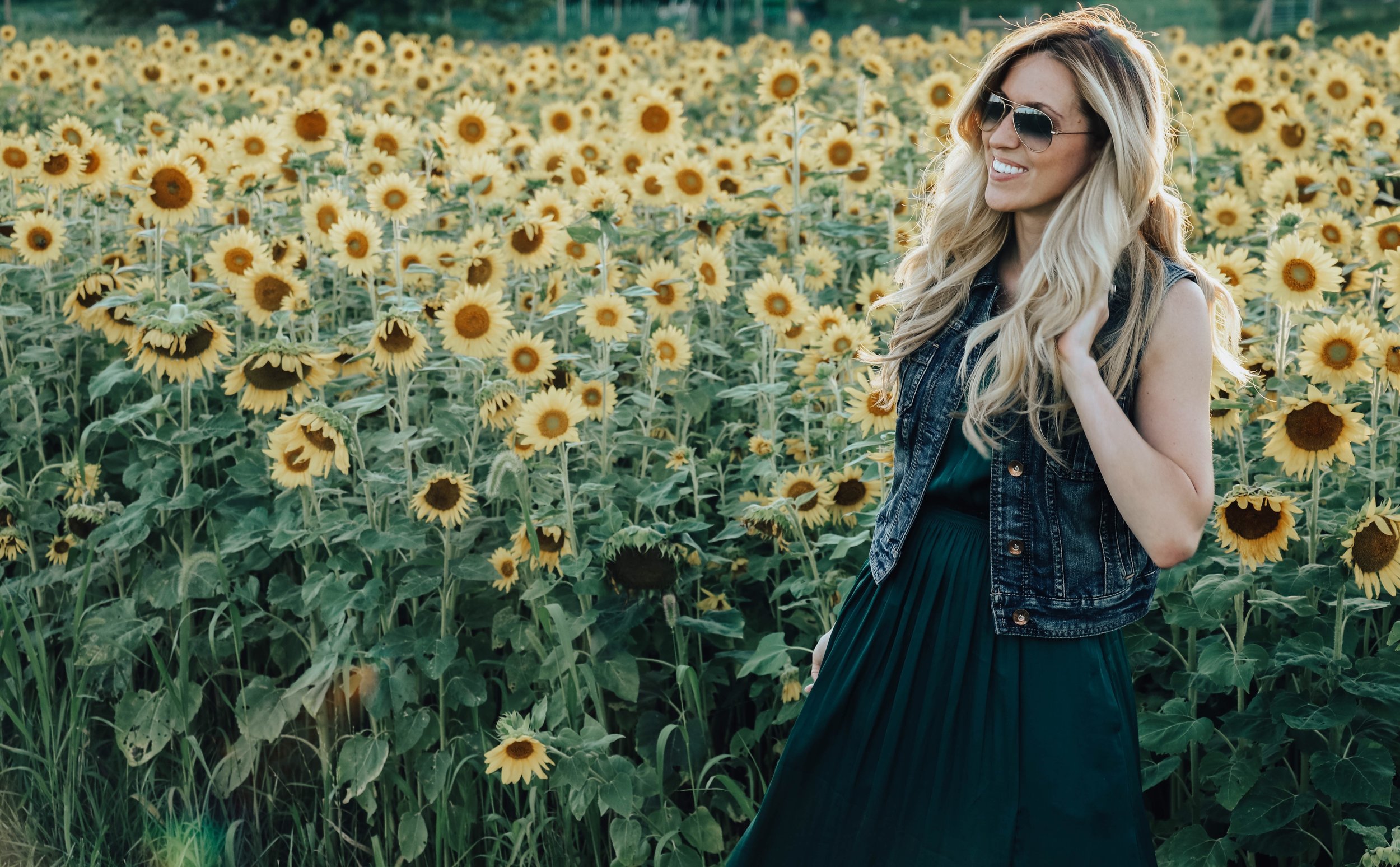 SUNFLOWER 2.jpg