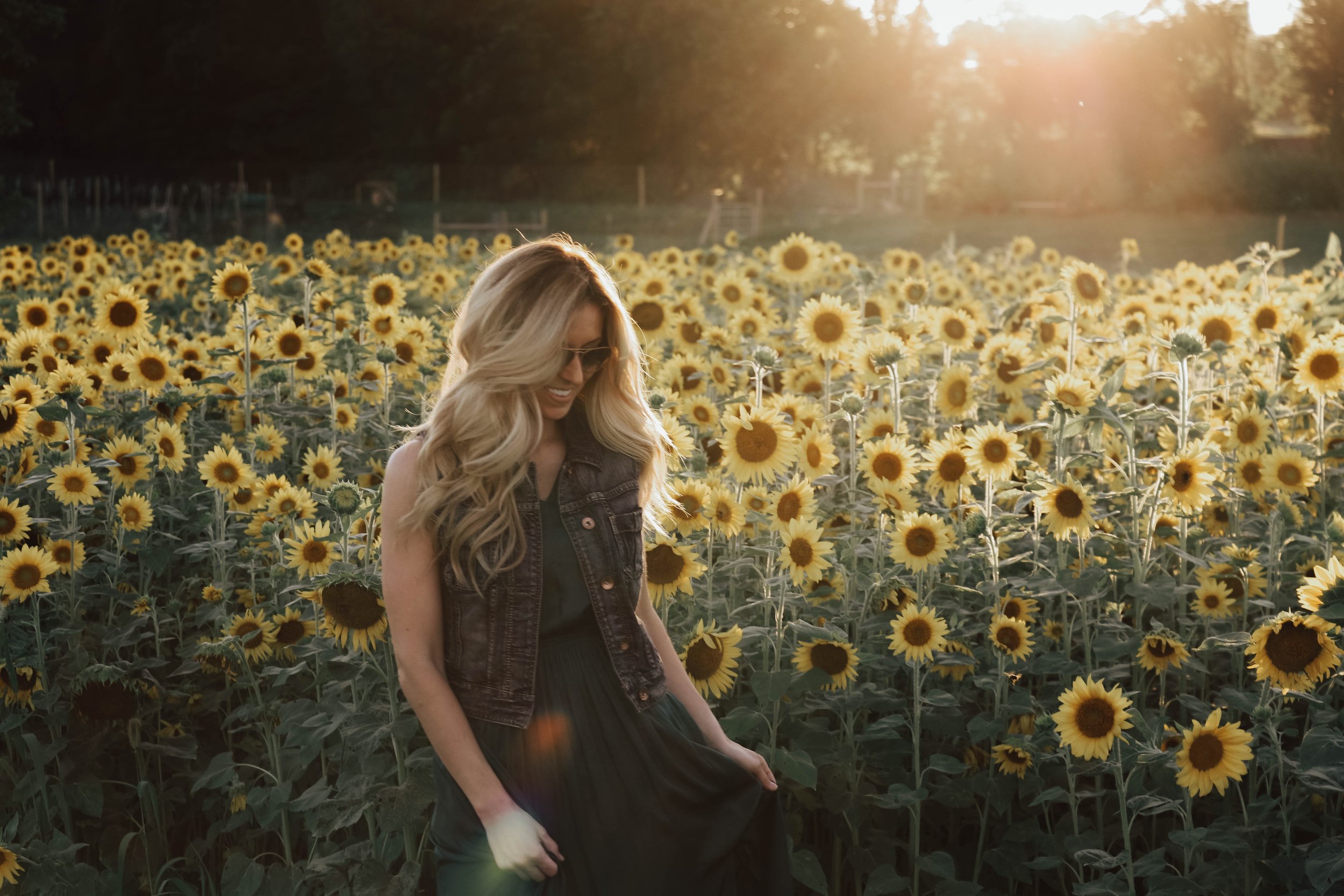 SUNFLWER.jpg