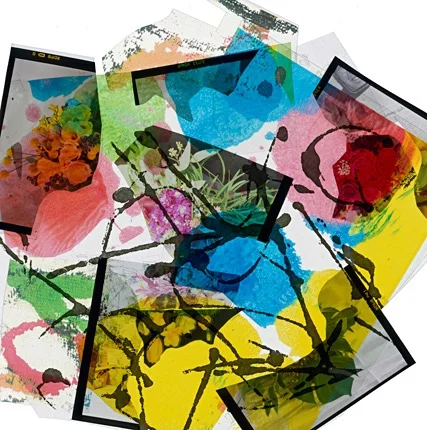 PHOTOGRAPHY_TRANSPARENT_C7.jpg