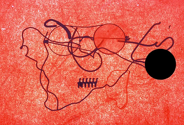 PHOTOGRAPHY_X RAY_C9.jpg